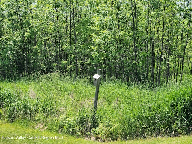 2773 Lucas Tpke, Accord, NY 12404 - view of local wilderness