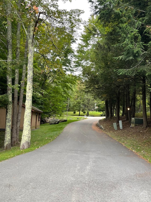 26 Townhouse Ln Unit 4A, Windham, NY 12496 - view of street