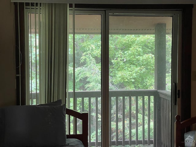 26 Townhouse Ln Unit 4A, Windham, NY 12496 - view of doorway