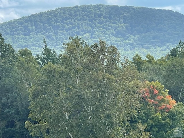 26 Townhouse Ln Unit 4A, Windham, NY 12496 - view of mountain background featuring a forest