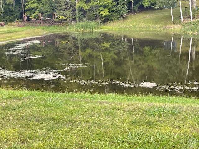 26 Townhouse Ln Unit 4A, Windham, NY 12496 - view of yard featuring a water view