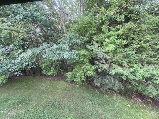 26 Townhouse Ln Unit 4A, Windham, NY 12496 - view of grassy yard
