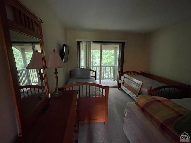 26 Townhouse Ln Unit 4A, Windham, NY 12496 - bedroom with access to exterior and carpet floors