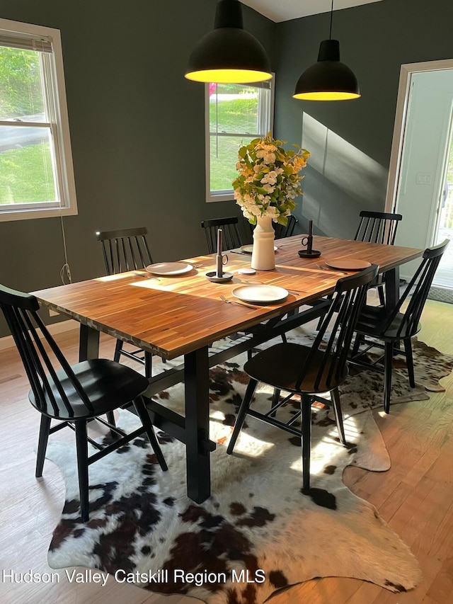 dining room with light hardwood / wood-style flooring