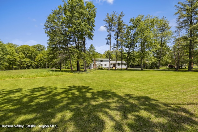 2410 Bruynswick Rd, Wallkill, NY 12589 - view of grassy yard