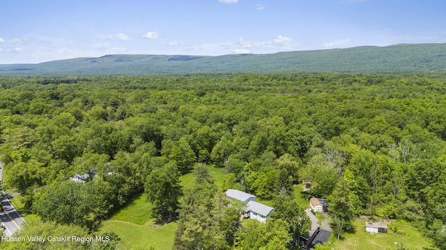 2410 Bruynswick Rd, Wallkill, NY 12589 - aerial view of a heavily wooded area
