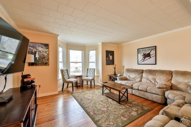 51 Division St, Hunter, NY 12442 - living room featuring ornamental molding, light wood finished floors, and baseboards