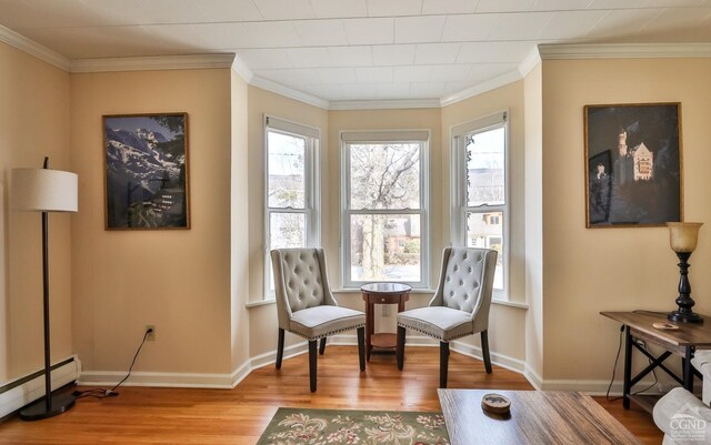 51 Division St, Hunter, NY 12442 - living area with a baseboard heating unit, wood finished floors, ornamental molding, and baseboards