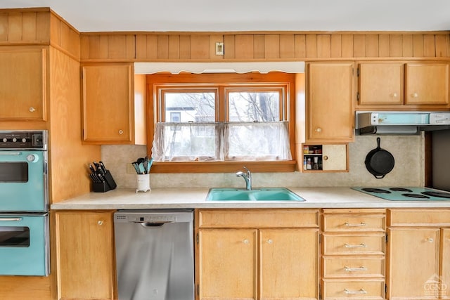 51 Division St, Hunter, NY 12442 - kitchen with dishwasher, a sink, double oven, under cabinet range hood, and electric stovetop