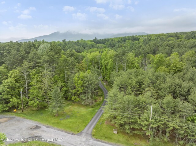 48 Deer Park Rd, Round Top, NY 12473 - photo 30