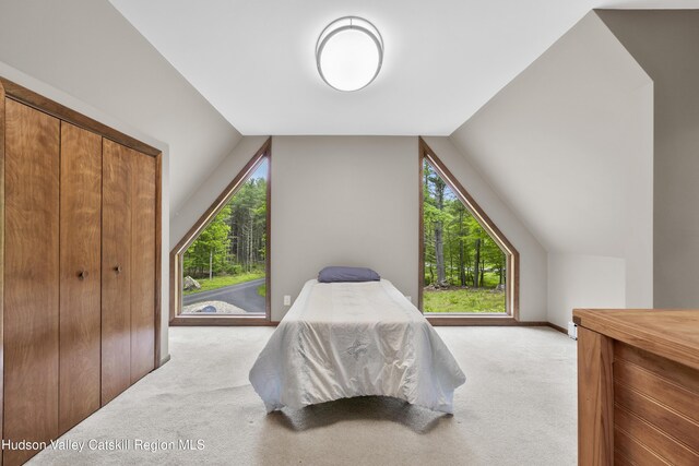 48 Deer Park Rd, Round Top, NY 12473 - photo 19