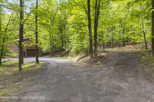 48 Deer Park Rd, Round Top, NY 12473 - photo 23