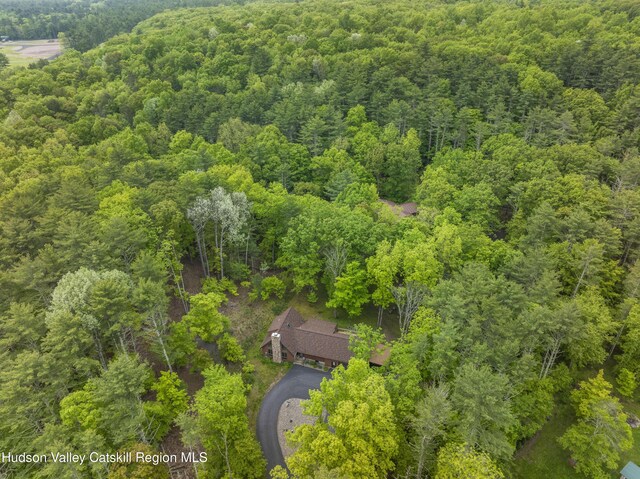 48 Deer Park Rd, Round Top, NY 12473 - photo 32
