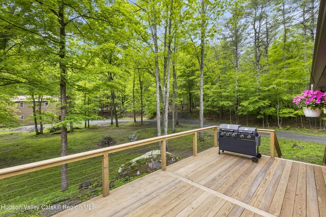 48 Deer Park Rd, Round Top, NY 12473 - photo 18