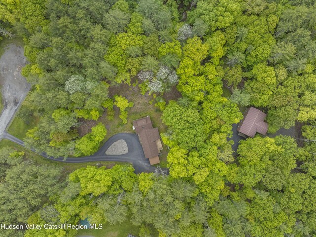 48 Deer Park Rd, Round Top, NY 12473 - photo 33