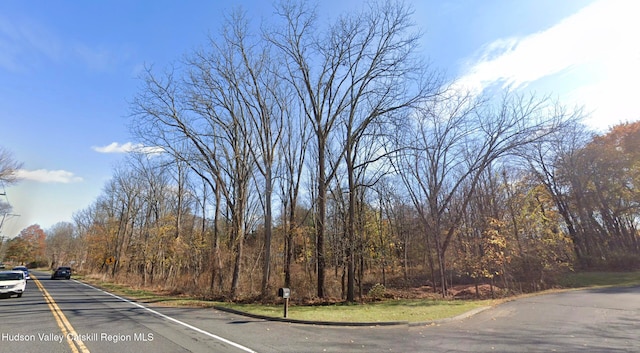 TBD Main St, Stone Ridge NY, 12484 land for sale