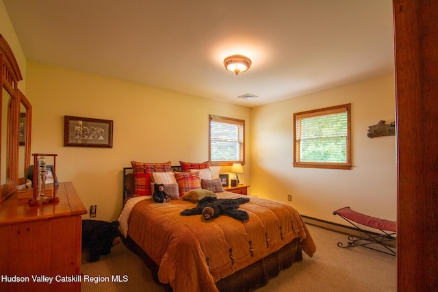 526 Taghkanic Rd, Elizaville, NY 12523 - carpeted bedroom featuring baseboards