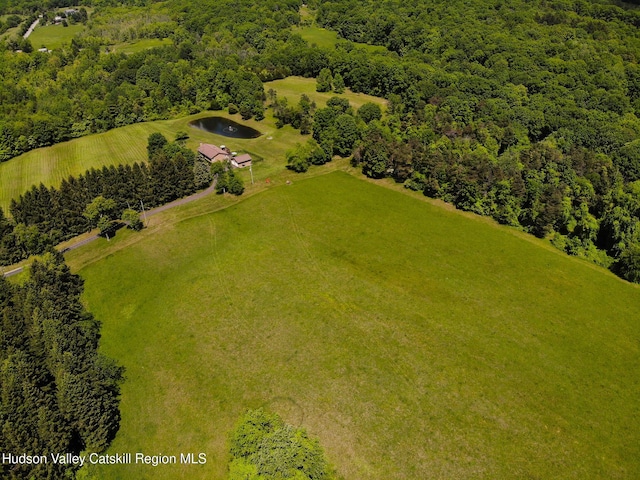 526 Taghkanic Rd, Elizaville, NY 12523 - drone / aerial view of a forest