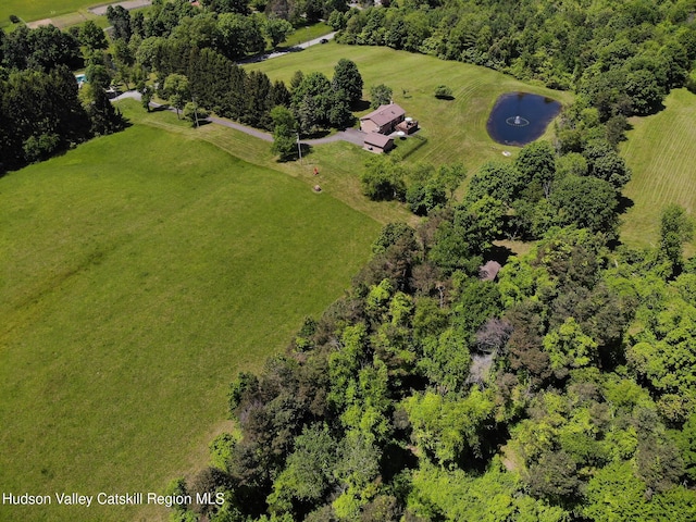 526 Taghkanic Rd, Elizaville, NY 12523 - aerial view of property's location with a large body of water
