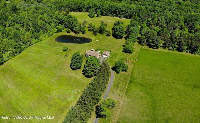 526 Taghkanic Rd, Elizaville, NY 12523 - drone / aerial view