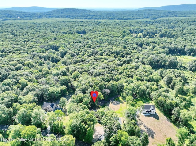 344 N Ohioville Rd, New Paltz, NY 12561 - photo 42