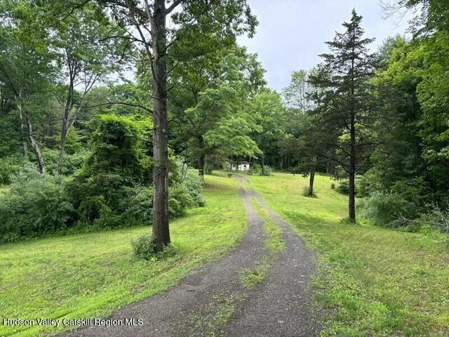 2094 County Route 8, Elizaville, NY 12523 - photo 12