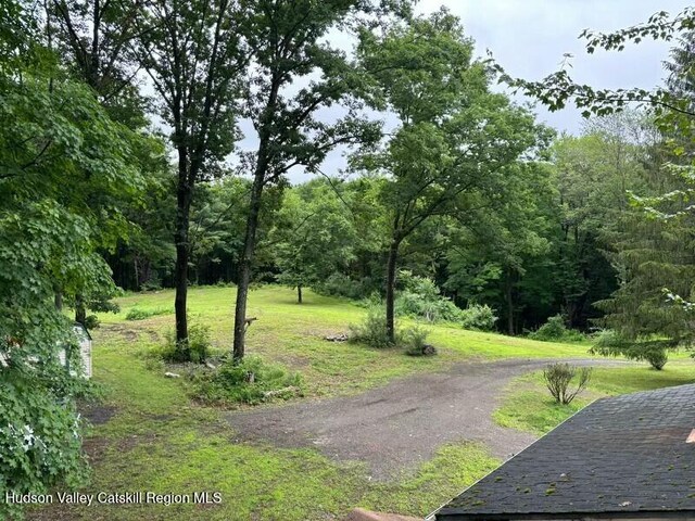 2094 County Route 8, Elizaville, NY 12523 - photo 2
