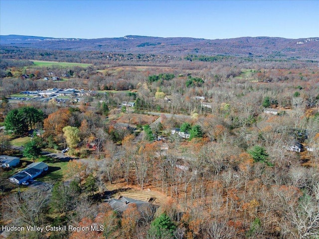 aerial view with a mountain view