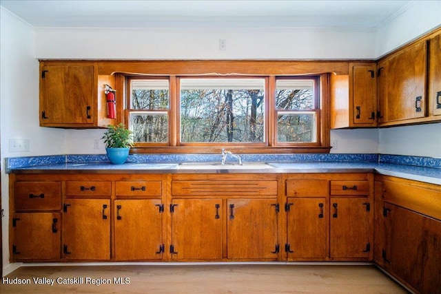 kitchen featuring light hardwood / wood-style floors, ornamental molding, and sink