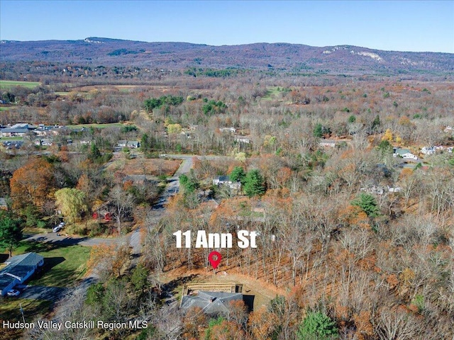 drone / aerial view featuring a mountain view