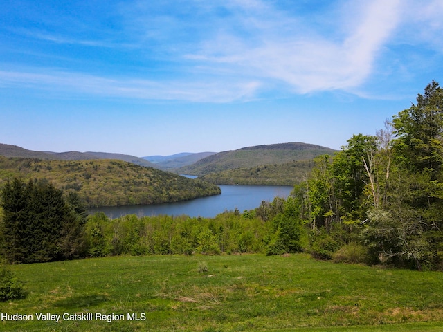 422 Waterview Dr, Andes, NY 13731 - water view with a mountainous background and a forest