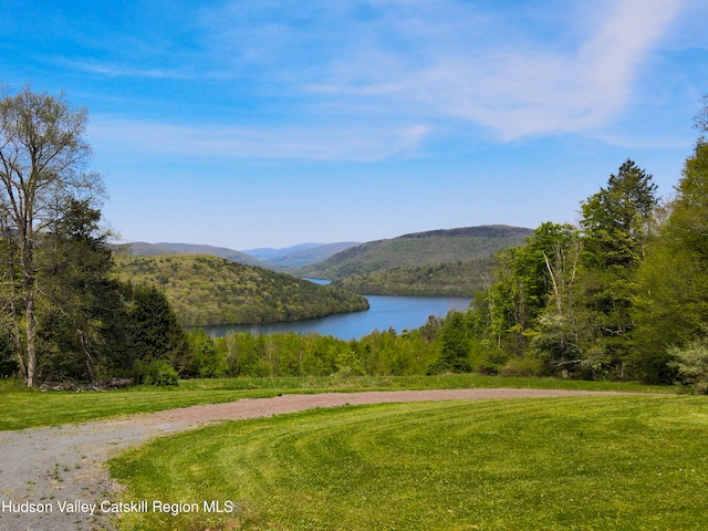 422 Waterview Dr, Andes, NY 13731 - surrounding community featuring a water and mountain view, a wooded view, and a lawn
