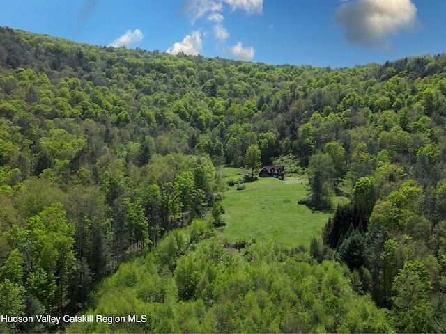 422 Waterview Dr, Andes, NY 13731 - aerial view of a heavily wooded area