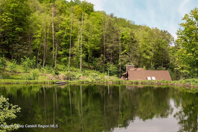 422 Waterview Dr, Andes, NY 13731 - water view featuring a heavily wooded area