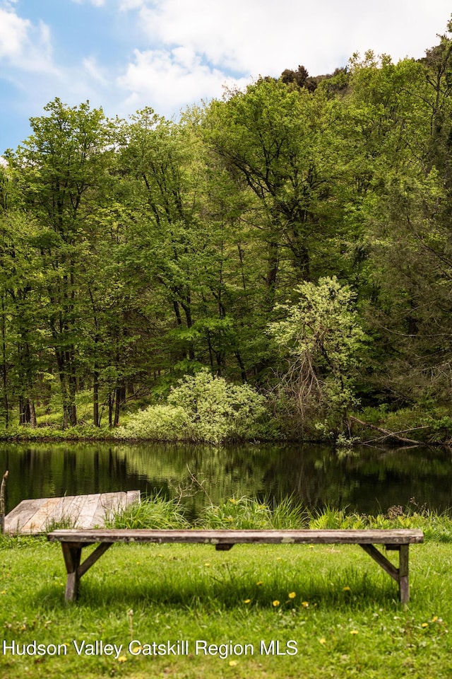 422 Waterview Dr, Andes, NY 13731 - water view with a forest