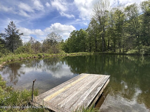 422 Waterview Dr, Andes, NY 13731 - dock with a water view and a wooded view