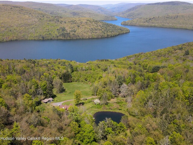 422 Waterview Dr, Andes, NY 13731 - aerial view of a forest and a water and mountain view
