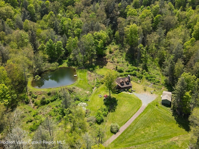 422 Waterview Dr, Andes, NY 13731 - bird's eye view of a nearby body of water and a forest