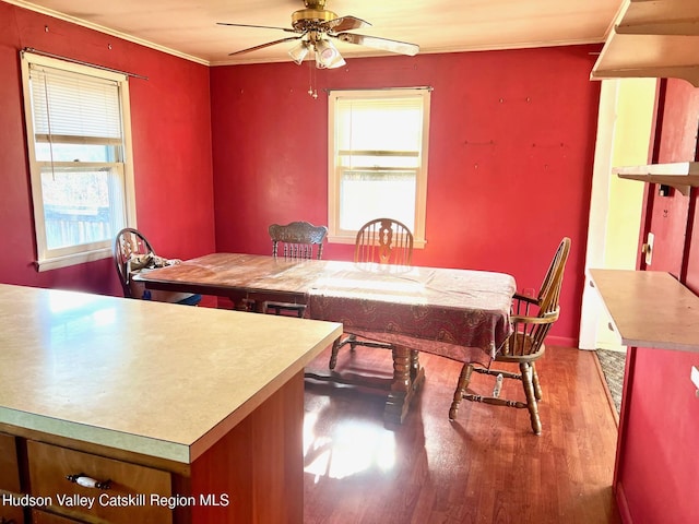 355 Maple Avenue Ext, Germantown, NY 12526 - dining space featuring ornamental molding, wood finished floors, and ceiling fan