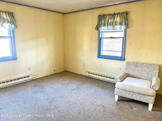 355 Maple Avenue Ext, Germantown, NY 12526 - unfurnished room with baseboard heating, carpet floors, and plenty of natural light