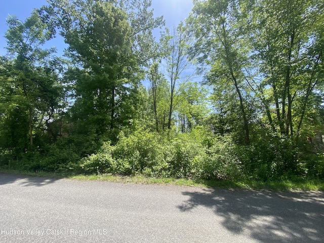182 Sleepy Hollow Rd, Athens, NY 12015 - photo 5