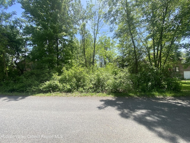 182 Sleepy Hollow Rd, Athens, NY 12015 - photo 3