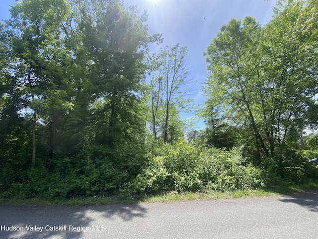 182 Sleepy Hollow Rd, Athens, NY 12015 - photo 6