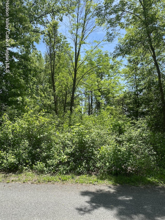182 Sleepy Hollow Rd, Athens, NY 12015 - photo 1