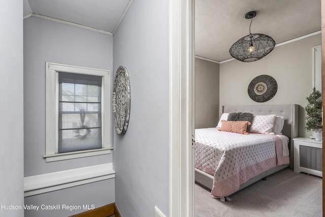 71 Melrose Ave, Albany, NY 12203 - bedroom featuring ornamental molding and carpet flooring