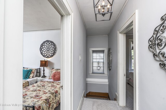 71 Melrose Ave, Albany, NY 12203 - hall with carpet flooring, a chandelier, and baseboards