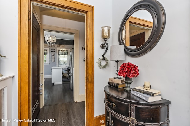 71 Melrose Ave, Albany, NY 12203 - corridor featuring dark wood-style flooring and baseboards