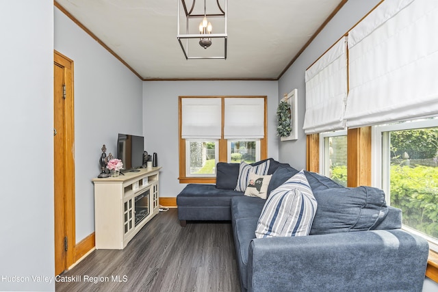 71 Melrose Ave, Albany, NY 12203 - living room featuring plenty of natural light, dark wood-type flooring, ornamental molding, and baseboards