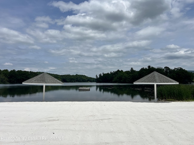 14 Brown Rd, Copake, NY 12516 - view of outdoor structure with a water view and a wooded view