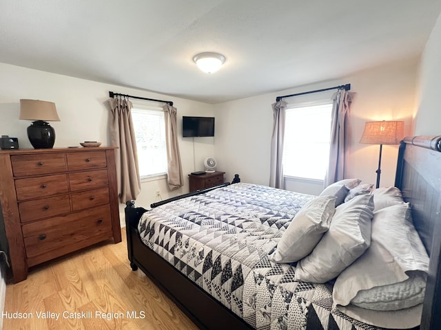 14 Brown Rd, Copake, NY 12516 - bedroom with light wood-style flooring